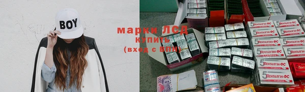 индика Абаза