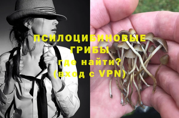 spice Абинск