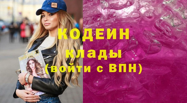 индика Абаза