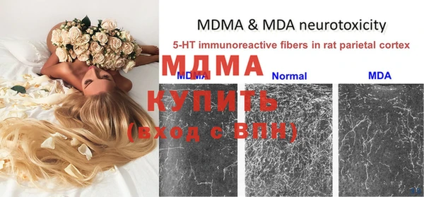 индика Абаза