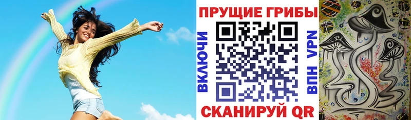 Псилоцибиновые грибы Psilocybe  купить  цена  Касимов 